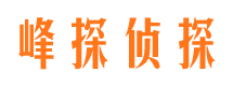 临泉婚外情调查取证